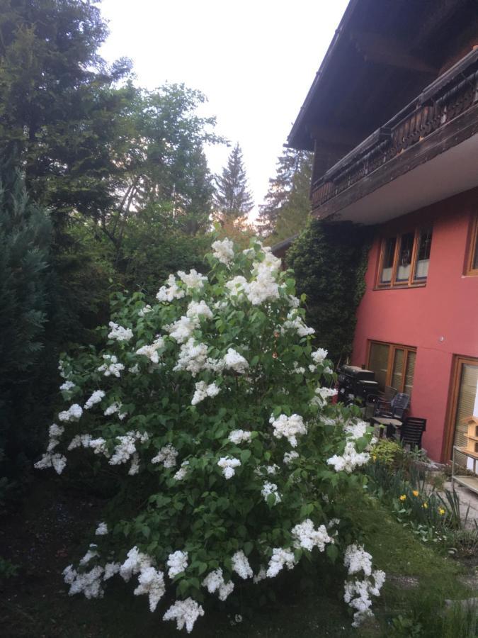 Ferienhaus Wieswald Ehrwald Exteriér fotografie